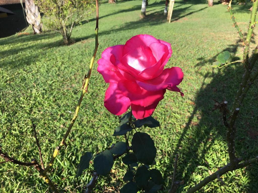 Casa/sítio na serra em Bom Jardim - RJ Exterior foto