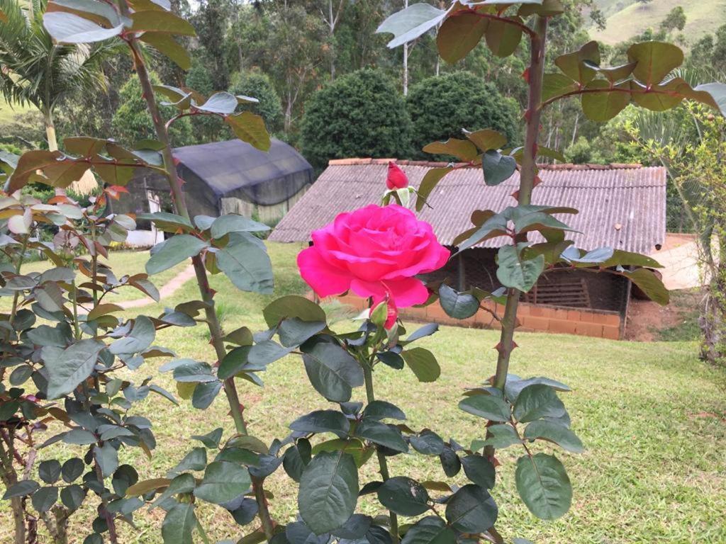 Casa/sítio na serra em Bom Jardim - RJ Exterior foto